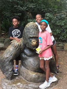 Zoo Day 2017 3